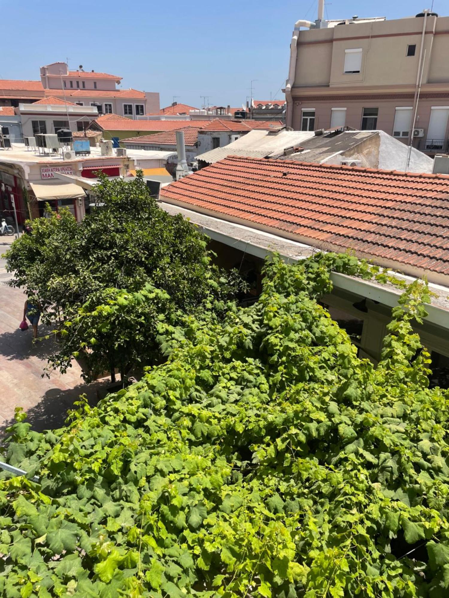 Apartment City Apartment Home Chios Town